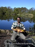 stevekarpe5